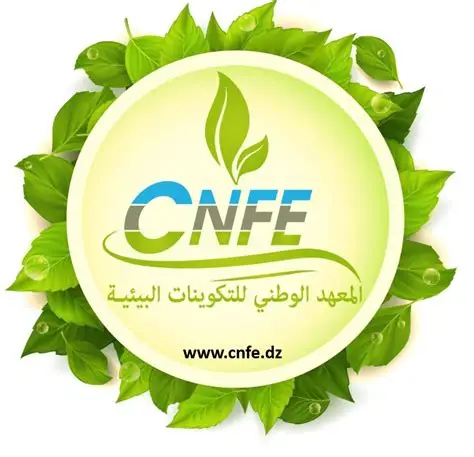 LOGO CNFE